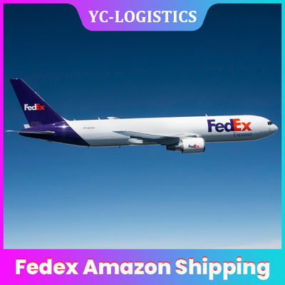Lieferung DDP Amazonas Fedex