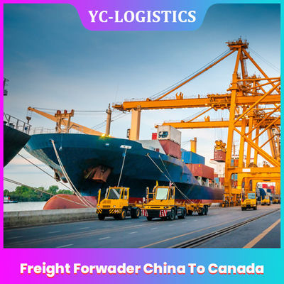 UHRKETTE EXW China zu Kanada-Spediteur von Shenzhen zu weltweitem, DDU-Seefracht-Versenden-Dienstleistungen